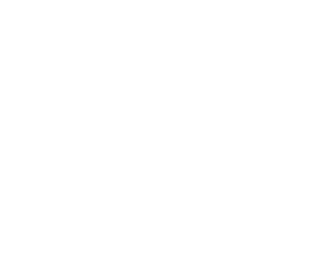 Dragon Chasers